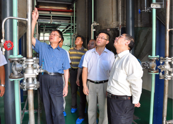 考察团参观考察云南林投印奇果种植基地和加工厂