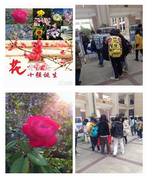 参赛作品(左)以及二教中庭投票现场(右)